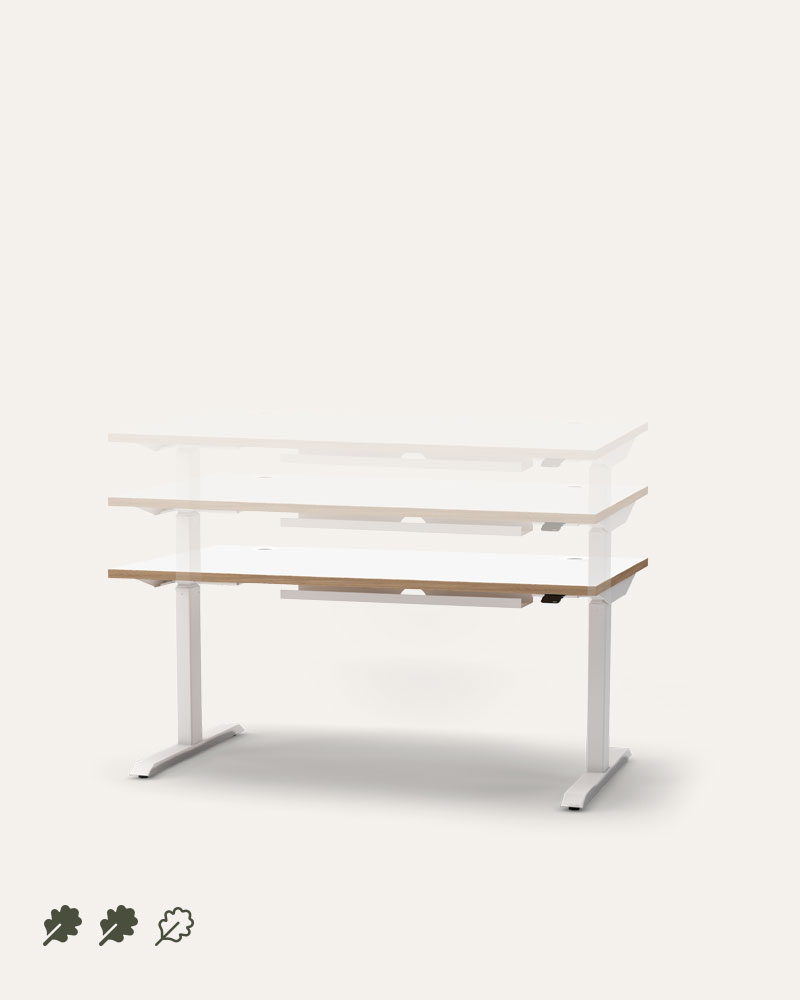 sit stand desking