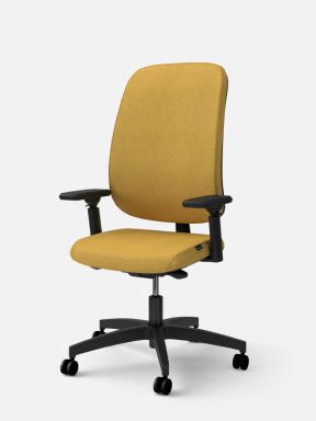 Equity upholstered task chair