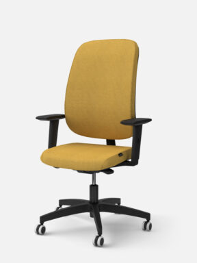 Equity Task upholstered desk chair, 2D arms