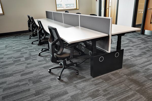 Office Screen for standing desks