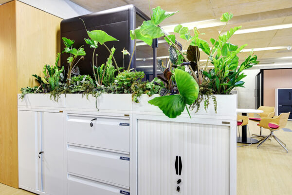Office storage planters