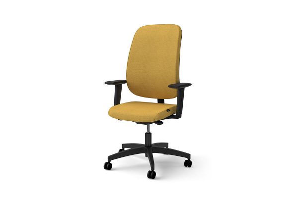 Equity Chair, Upholstered Back, 2D Arms