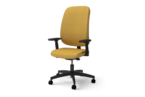 Equity Chair, Upholstered Back, 4D Arms