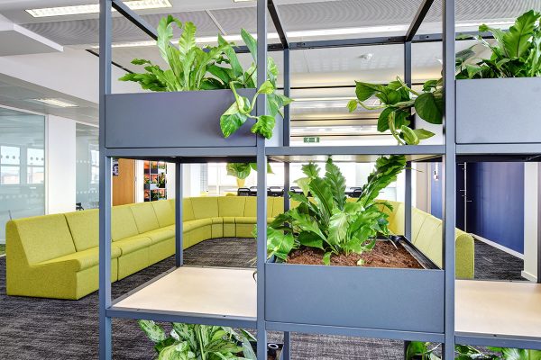 FlexiGrid office shelving with planters