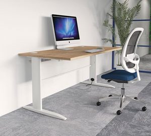 Todd Office Desks