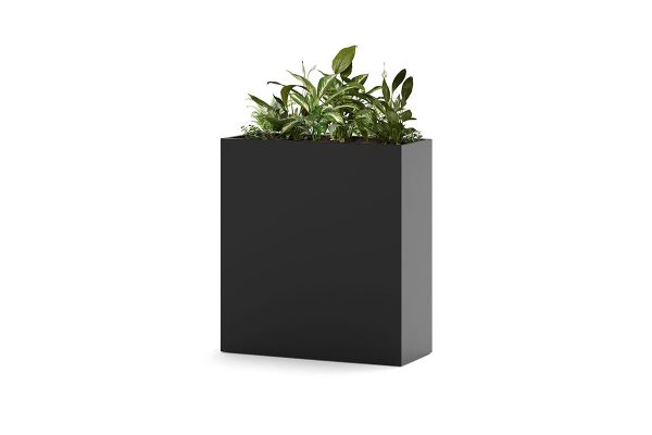 Tall Indoor office planter