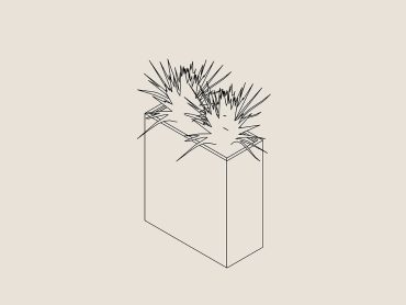 Flora plain indoor planter