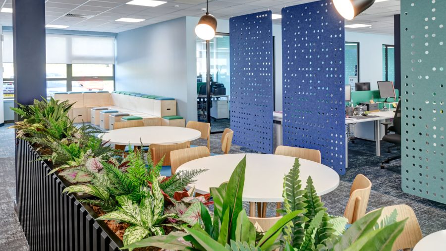 ingenza-cat-b-fitout