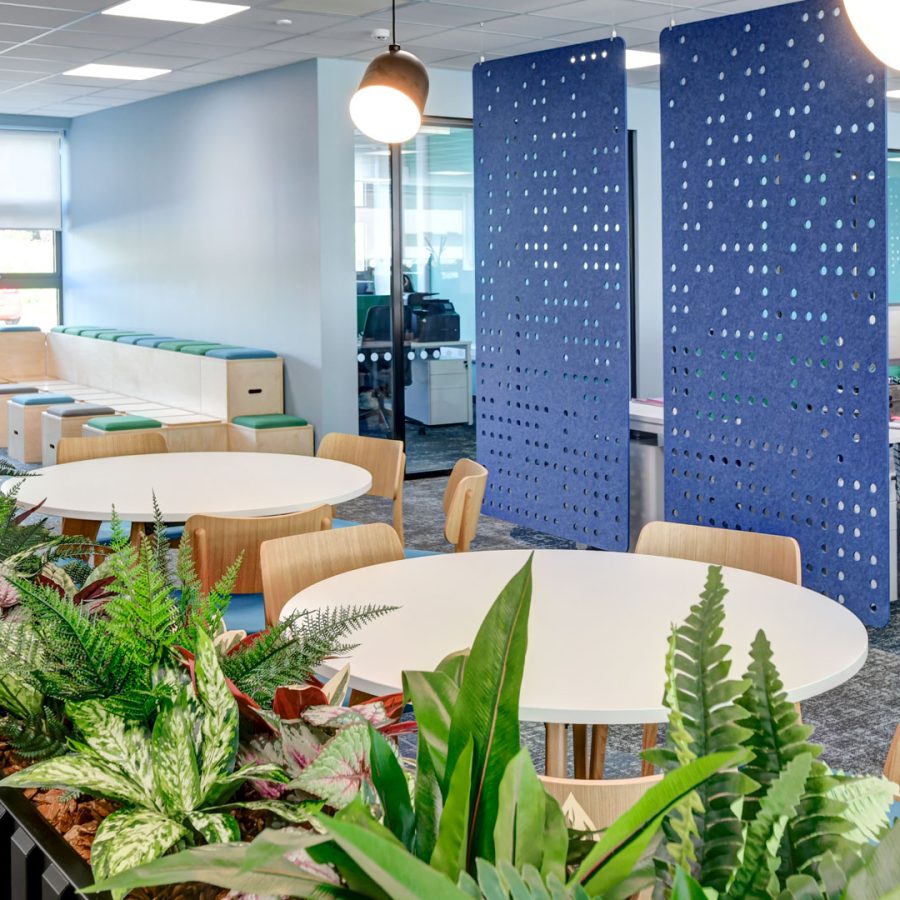 ingenza-cat-b-fitout