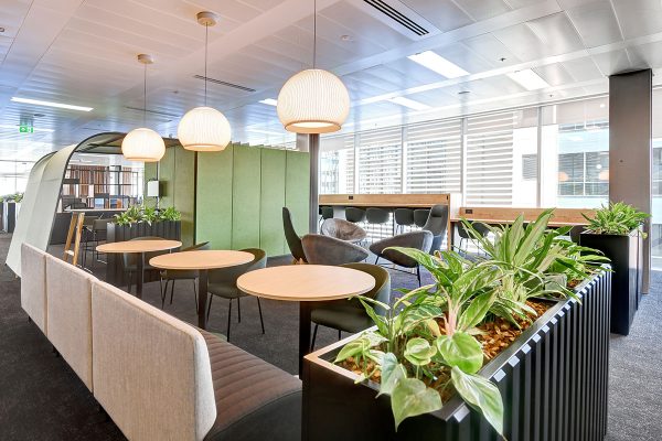 Fauna Café Tall Indoor Planter Install