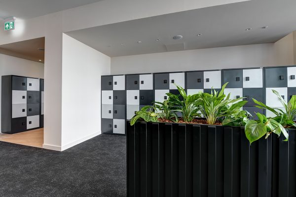 Fauna Office Planters & Luxo Metal Lockers Installation