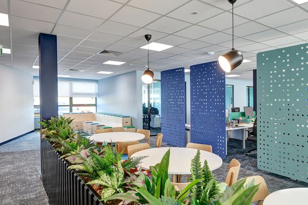 Cafe planters