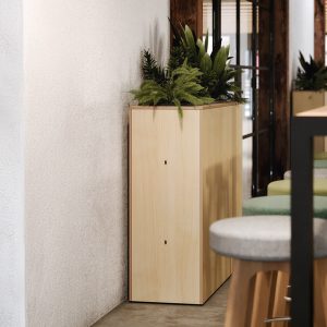 Trough Plywood interior planter for offices