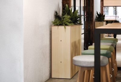 Trough Plywood interior planter for offices