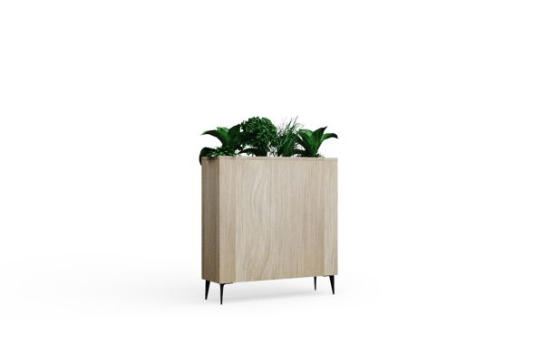 Fearne Wooden office interior planters