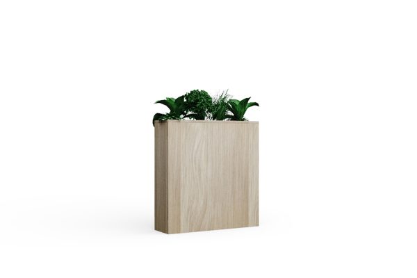 Fearne Wooden office planters