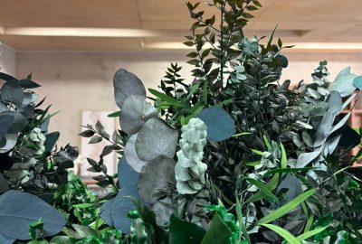 Jungle and Trailing Foliage
