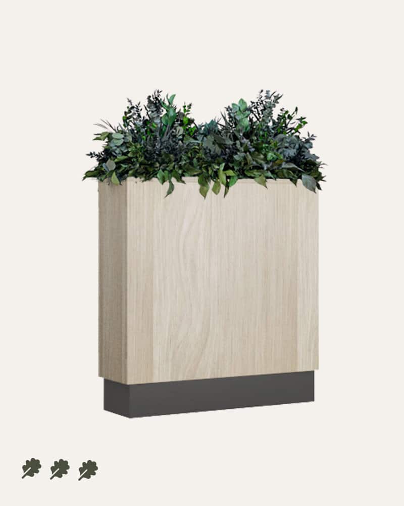 Preserved office plants