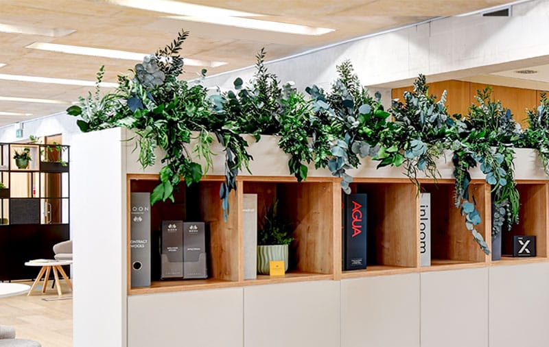 Preserved Office Plants