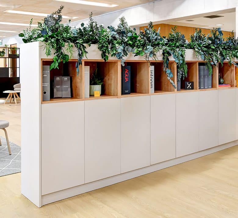 Trailing office plants