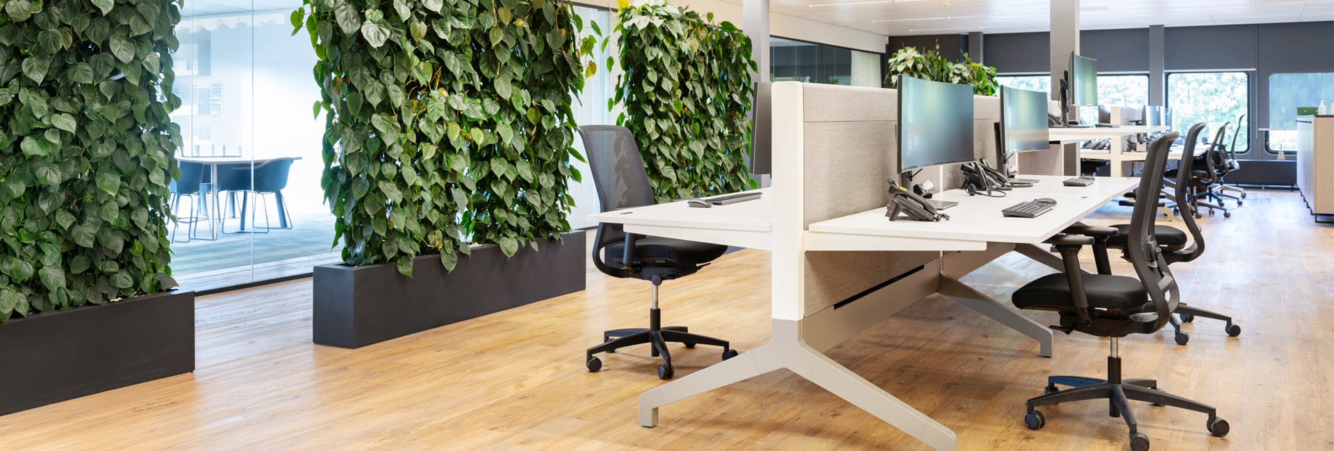 Ypsilon Height Adjustable Desk
