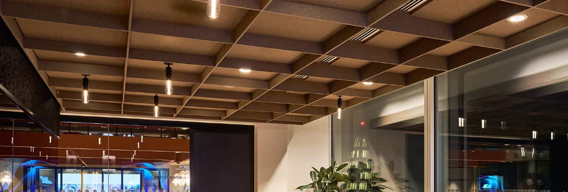 Grid + Acoustic Ceiling System