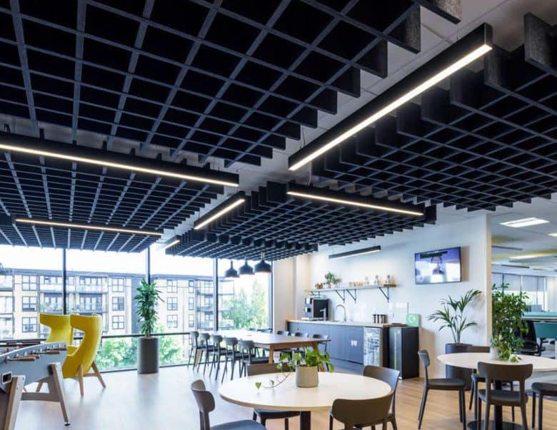 Acoustic Ceiling System